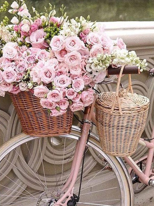 Pink Roses in Bicycle Basket Paint by Numbers