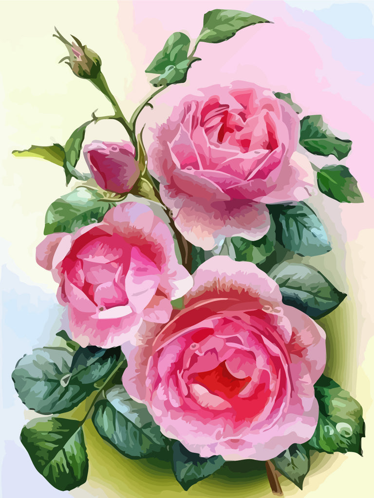 Pink Roses Paint by Numbers