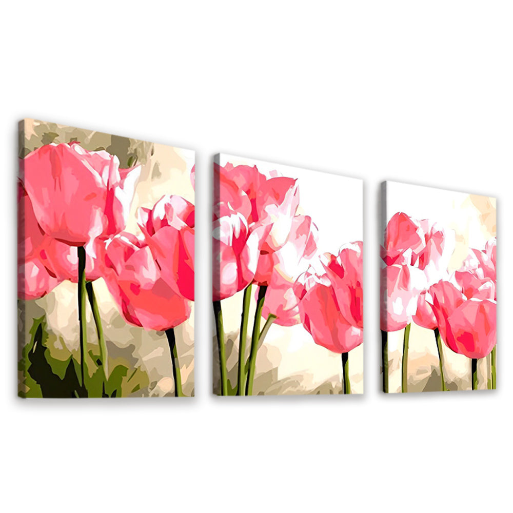 Pink Tulips 3 Pack Paint By Numbers