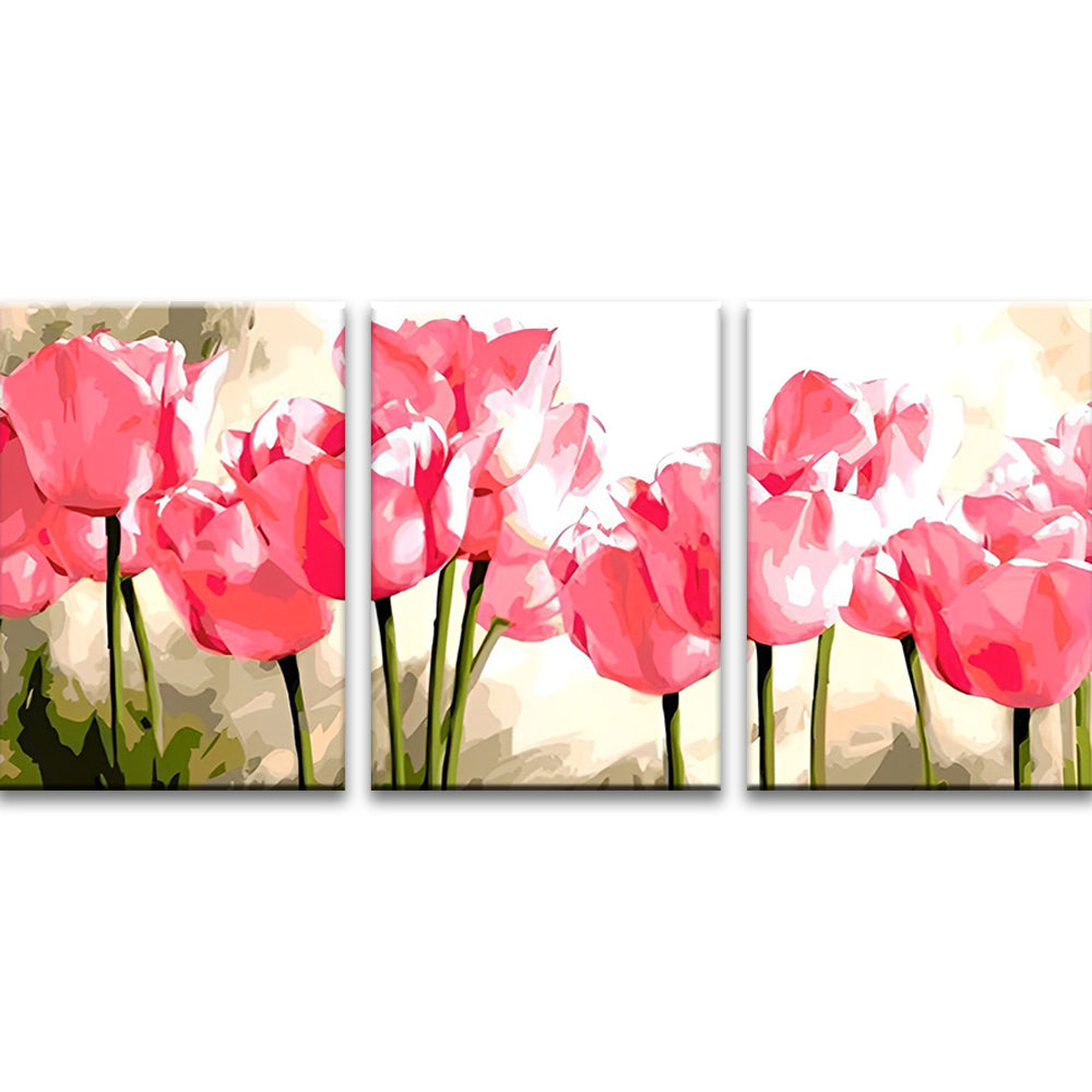 Pink Tulips 3 Pack Paint By Numbers