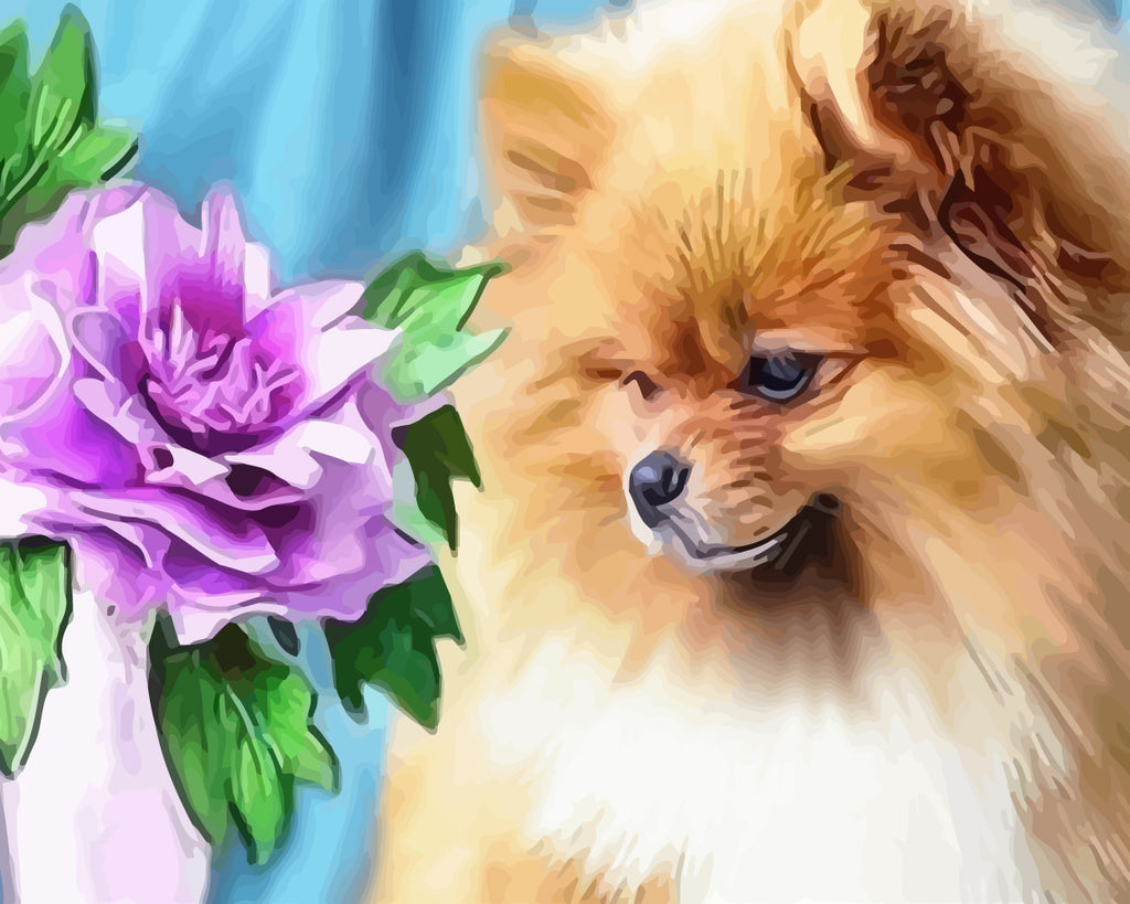 Pomeranian Dog and Purple Flower Paint by Numbers