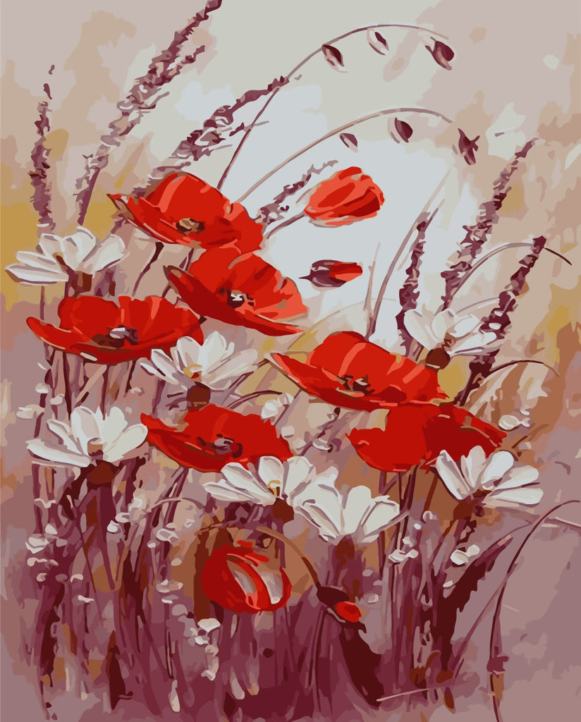 Poppies and Daisies Paint by Numbers