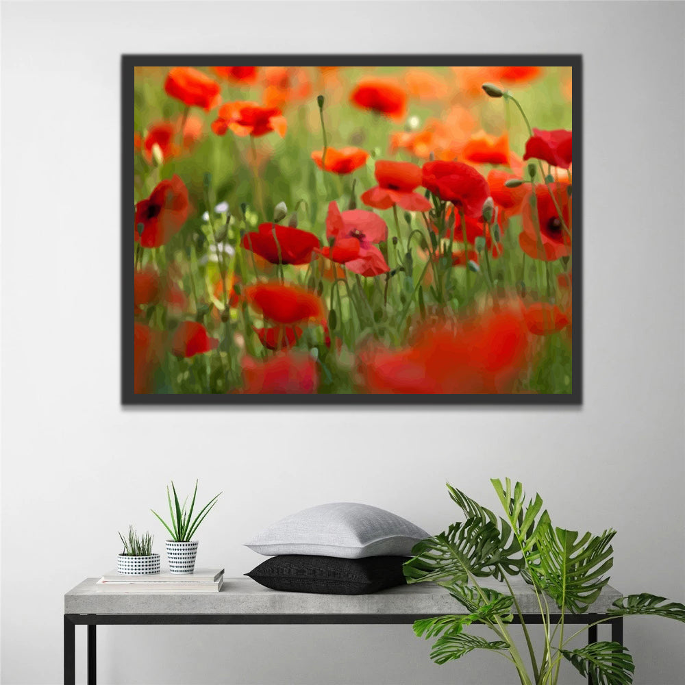 Poppies and Grass Paint by Numbers