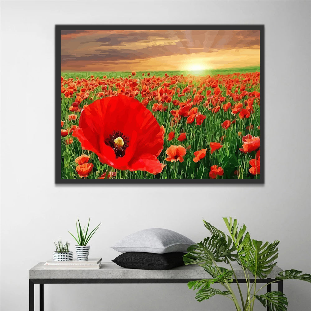 Poppies Field at Sunset Paint by Numbers