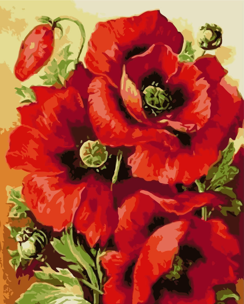 Poppies Paint by Numbers