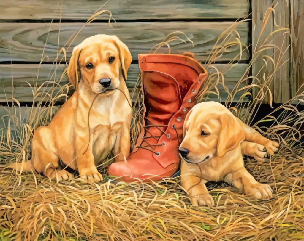 Puppies and Boots Paint by Numbers