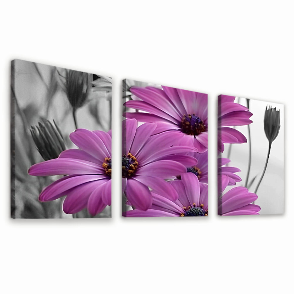 Purple Chrysanthemums 3 Pack Paint By Numbers