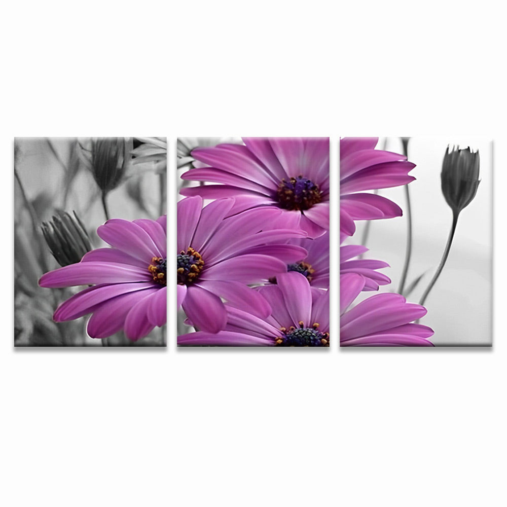 Purple Chrysanthemums 3 Pack Paint By Numbers