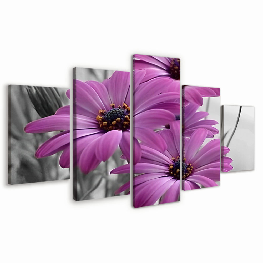 Purple Daisies 5 Pack Paint By Numbers