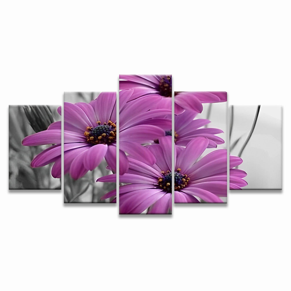 Purple Daisies 5 Pack Paint By Numbers