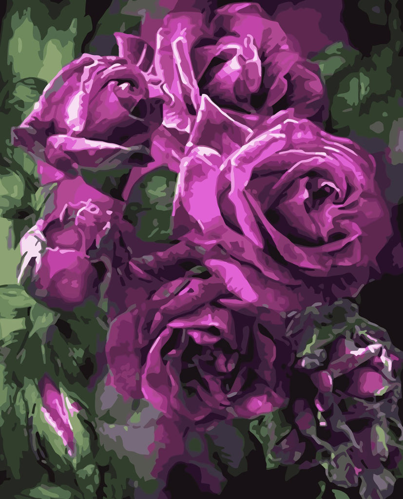 Purple Roses Paint by Numbers