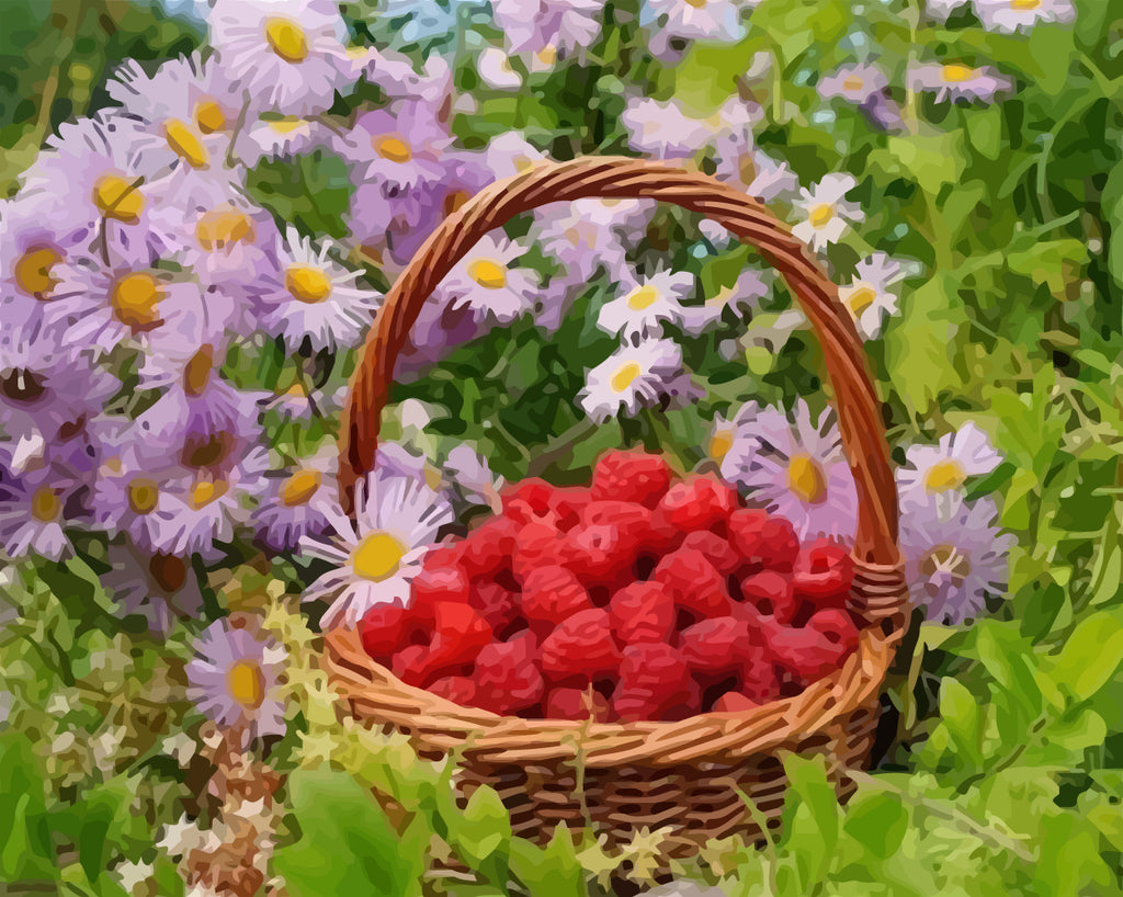 Raspberries and Purple Daisies Paint by Numbers