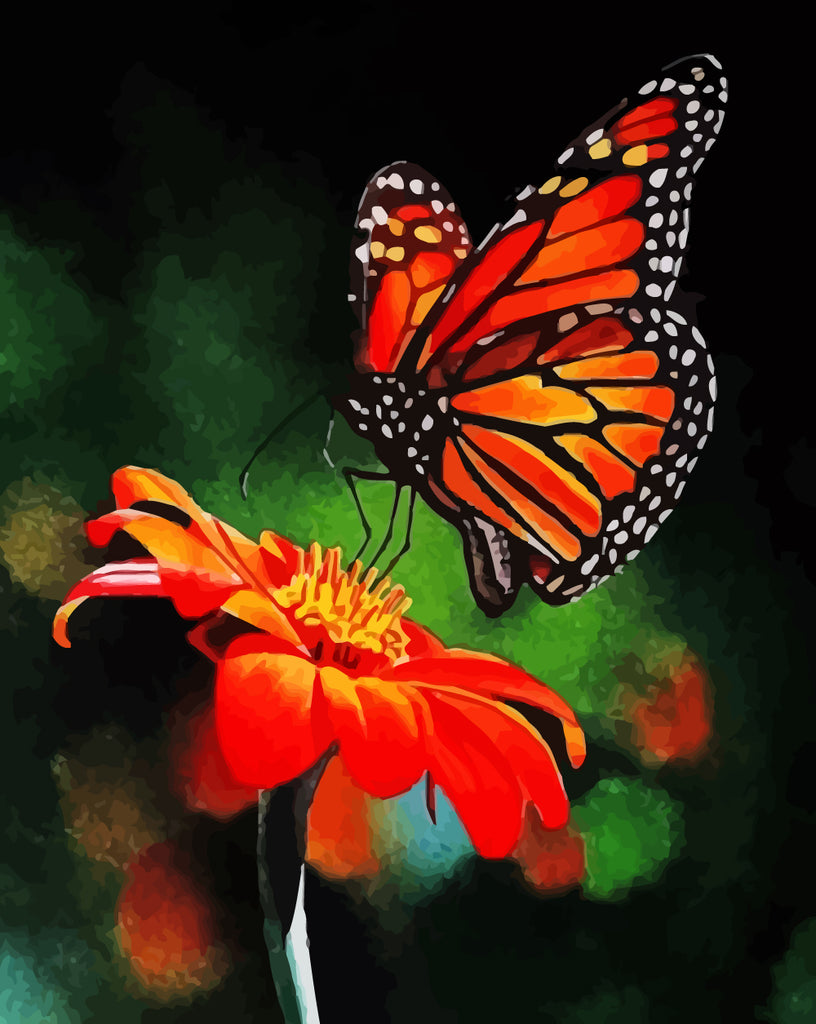 Red Flower and Butterfly Paint by Numbers