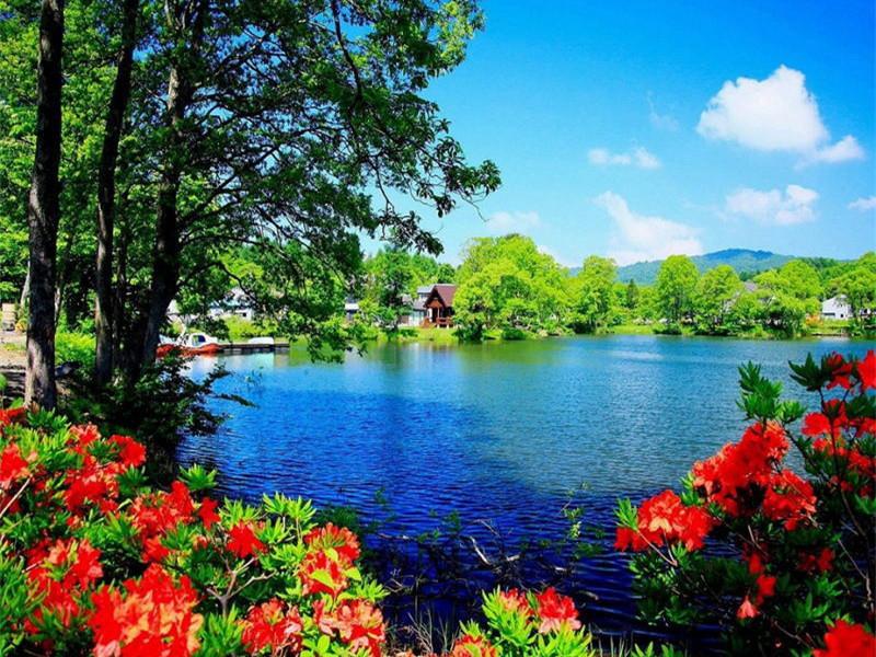 Red Flowers by the Lake Paint by Numbers