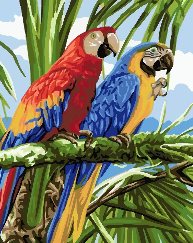 Red Parrot and Blue Parrot Paint by Numbers