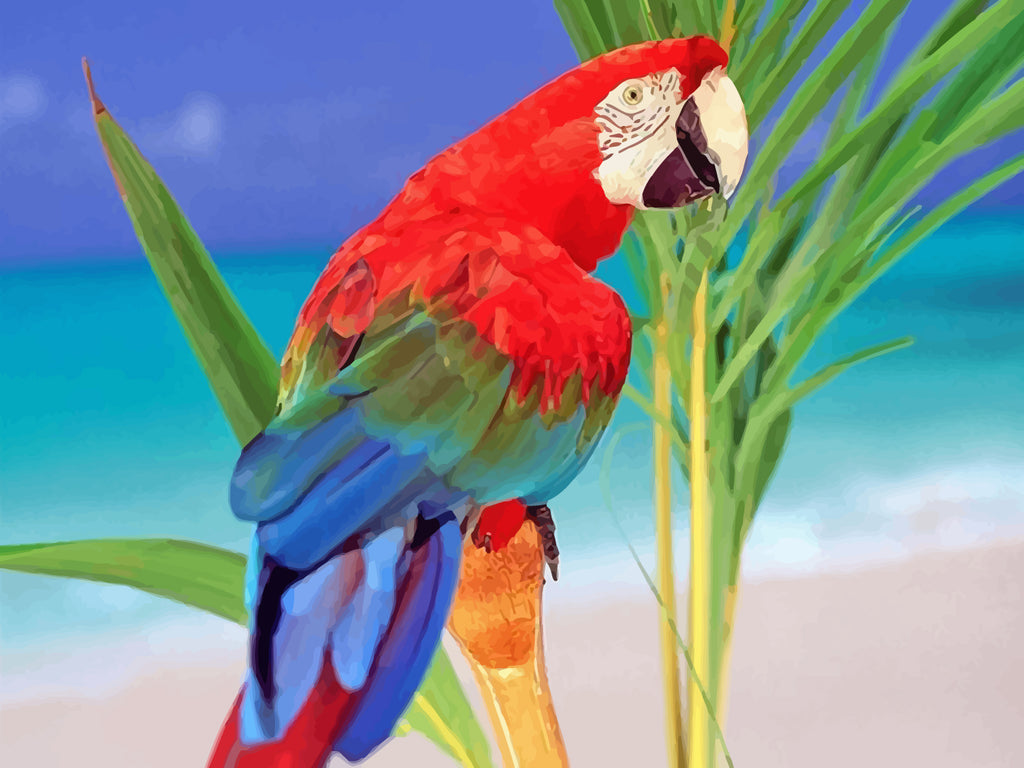 Red Parrot Paint by Numbers