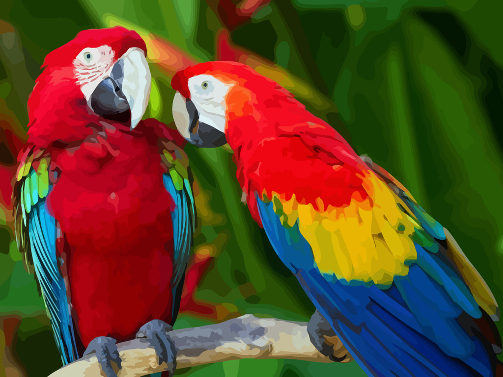 Red Parrots Paint by Numbers