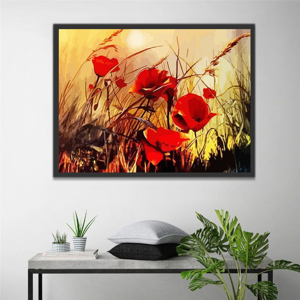 Red Poppies and Sun Paint by Numbers