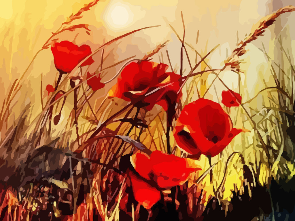 Red Poppies and Sun Paint by Numbers