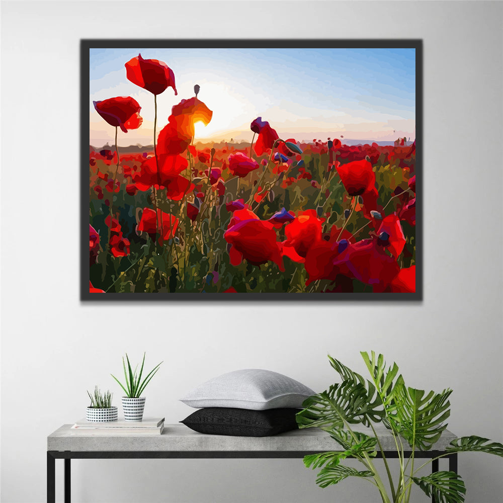 Red Poppies Paint by Numbers