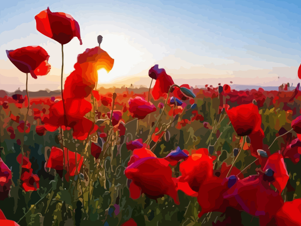 Red Poppies Paint by Numbers