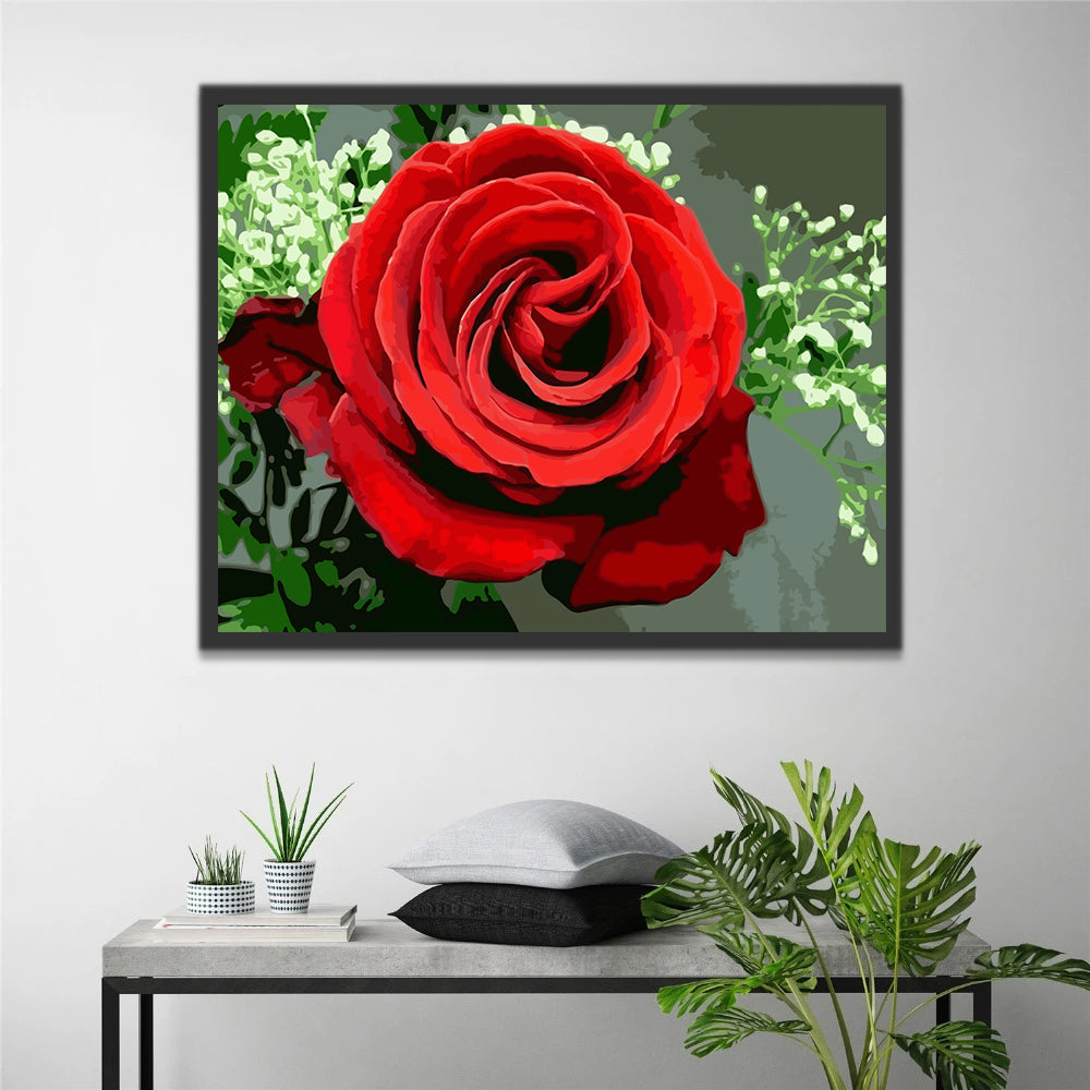 Red Rose Paint by Numbers