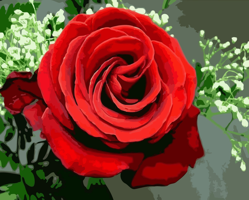 Red Rose Paint by Numbers