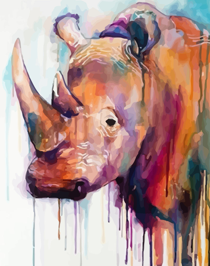 Rhino Paint by Numbers