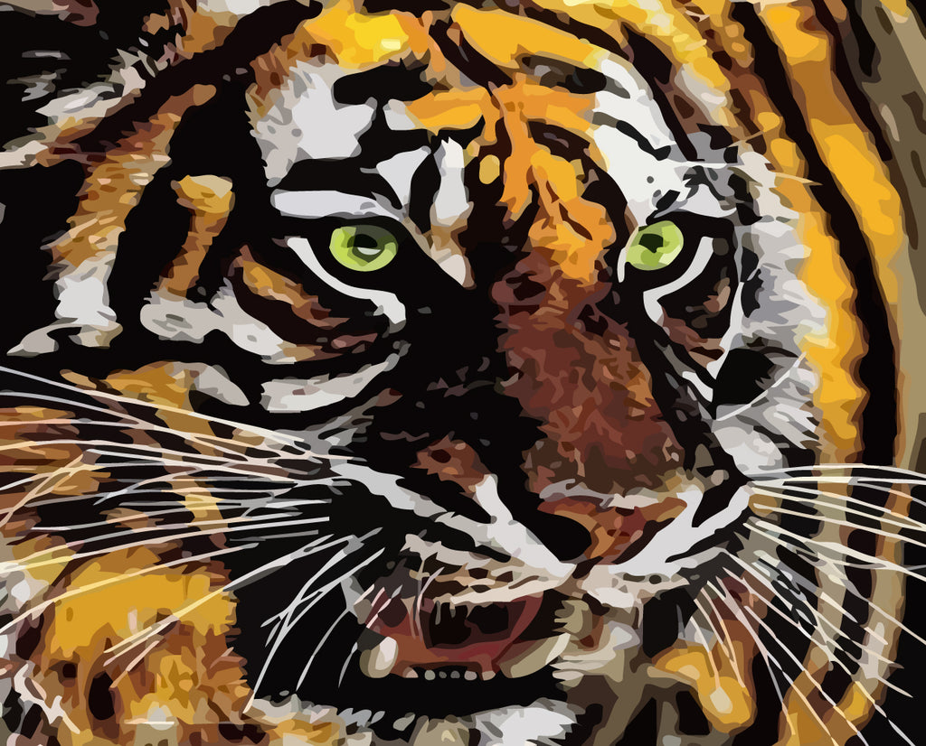 Roaring Tiger Paint by Numbers