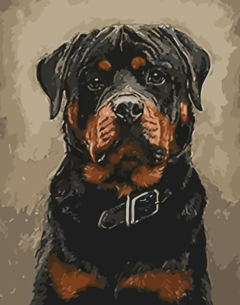 Rottweiler Dog Paint by Numbers