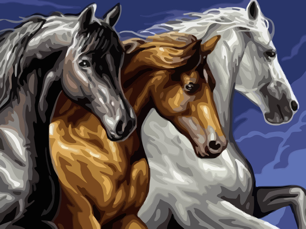 Running Horses Paint by Numbers