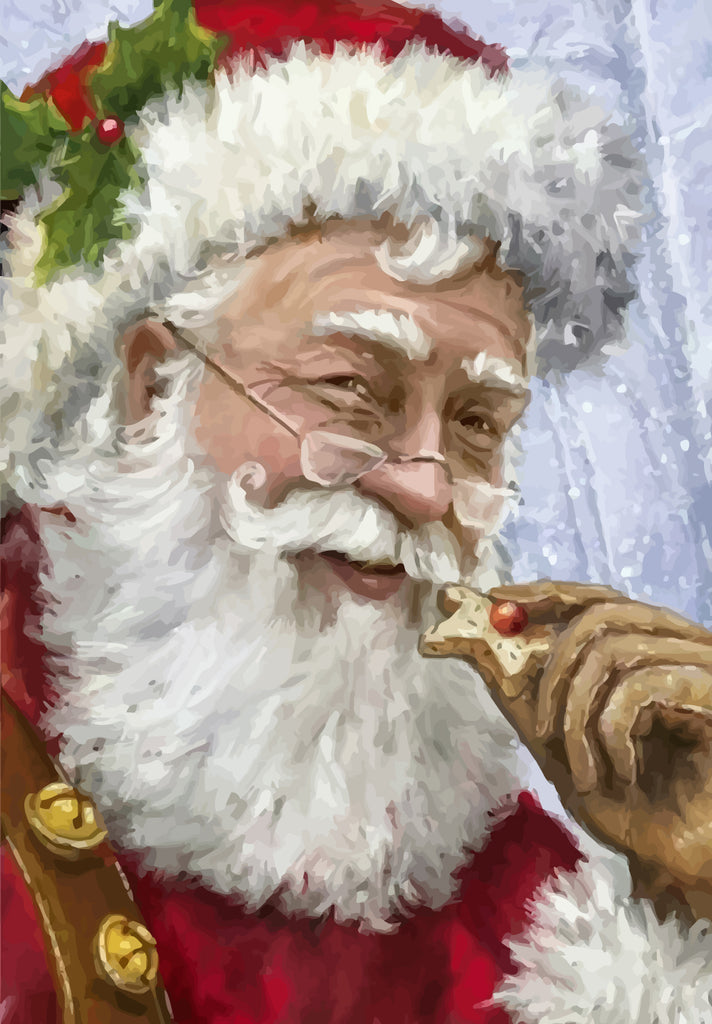 Santa with Glasses Paint by Numbers