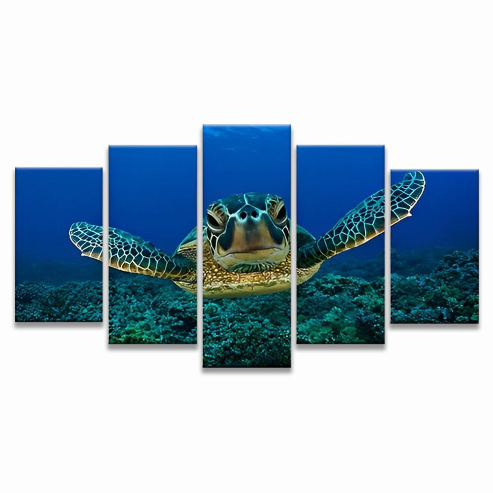 Sea Turtle 5 Pack Paint By Numbers