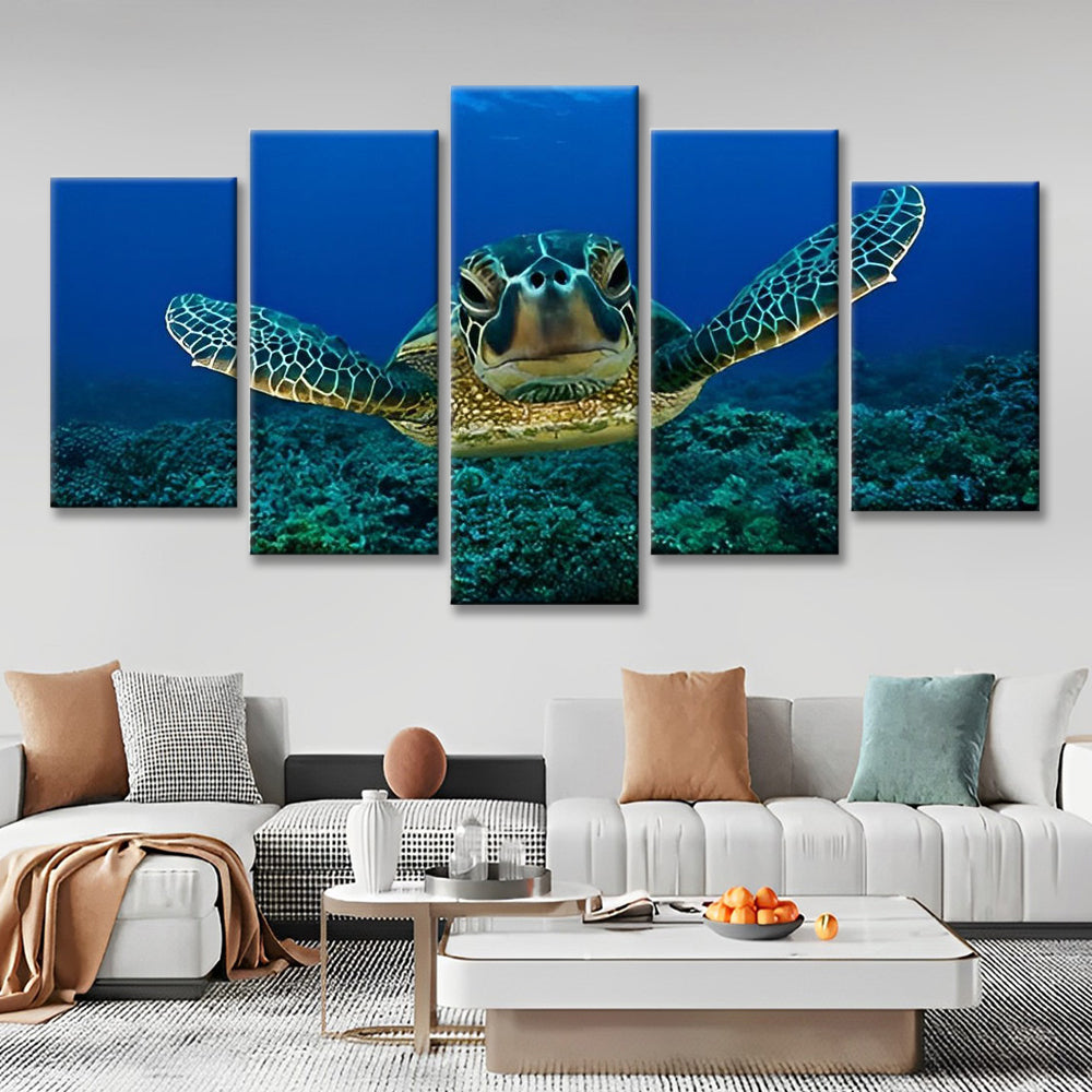 Sea Turtle 5 Pack Paint By Numbers