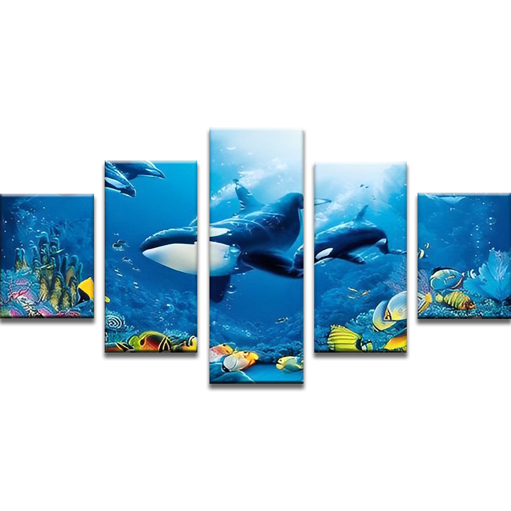 Shark and Fish 5 Pack Paint By Numbers