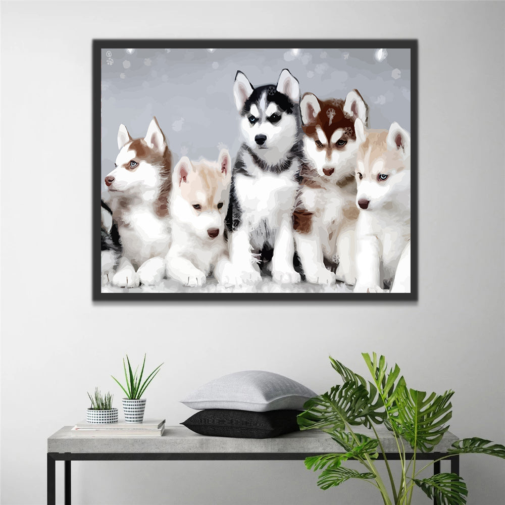 Sibírsky Husky Dogs Paint by Numbers