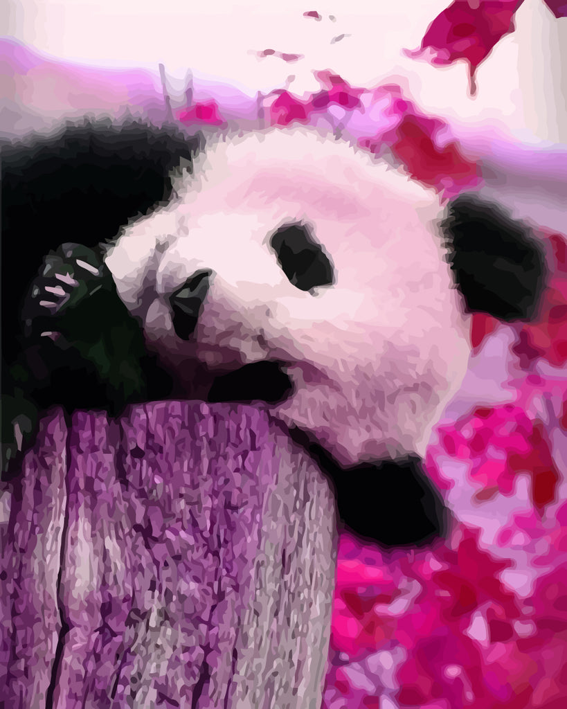 Sleeping Panda Paint by Numbers