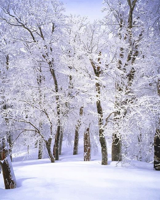 Snow-Covered Branches Paint by Numbers