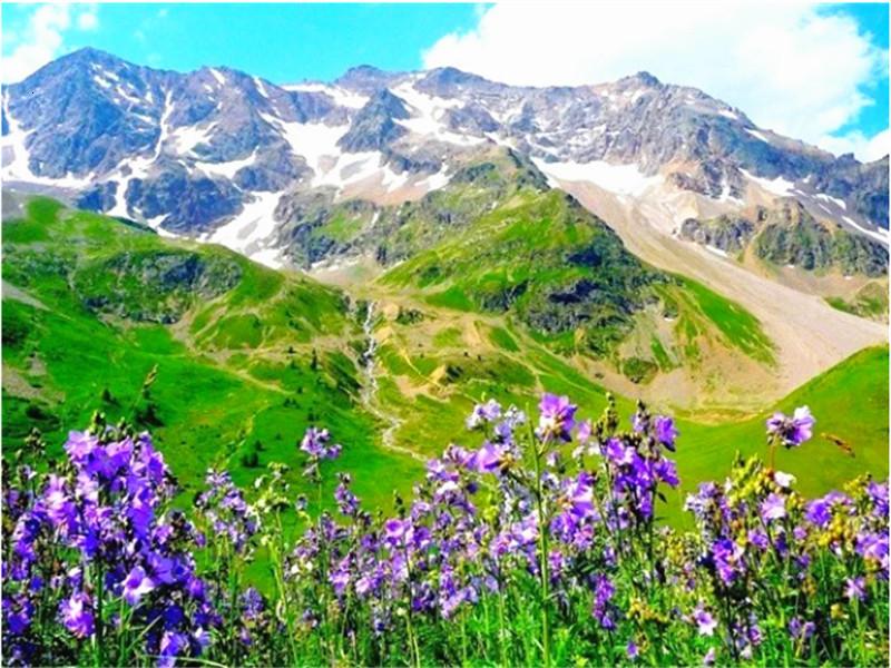 Snowy Mountain and Purple Flowers Paint by Numbers