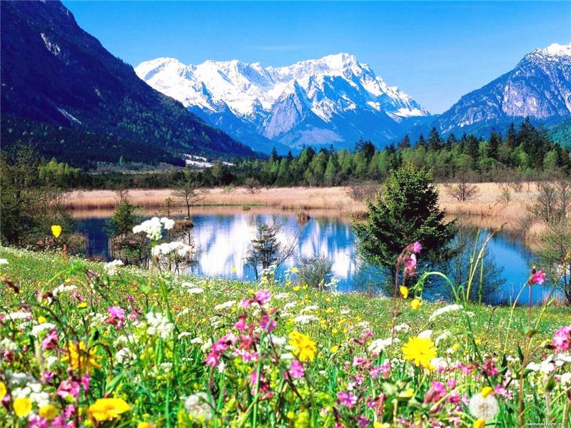 Snowy Mountain, Flower Field and Lake Paint by Numbers