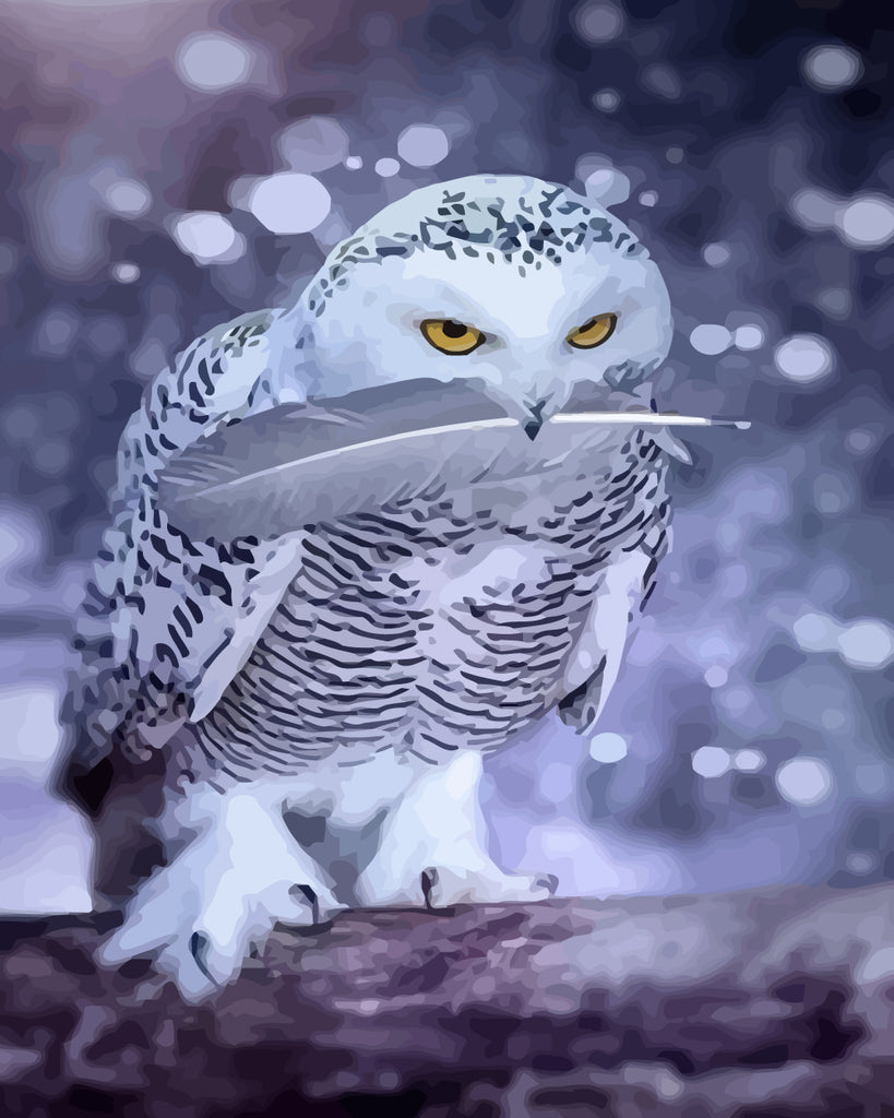 Snowy Owl Paint by Numbers