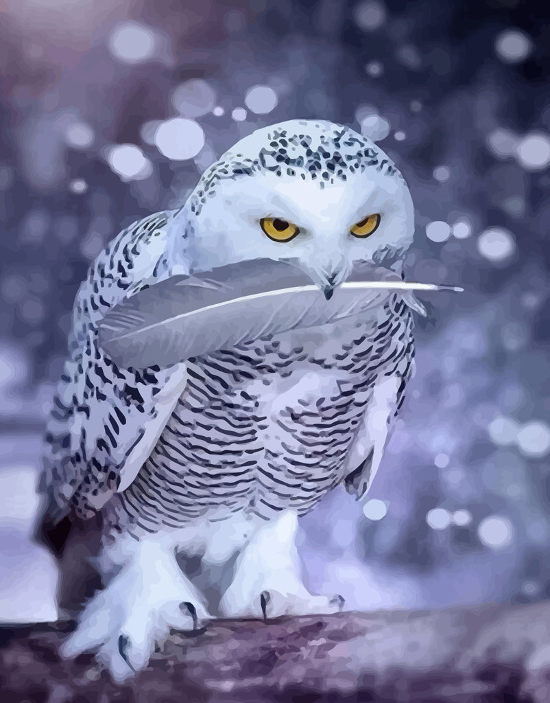 Snowy Owl Paint by Numbers