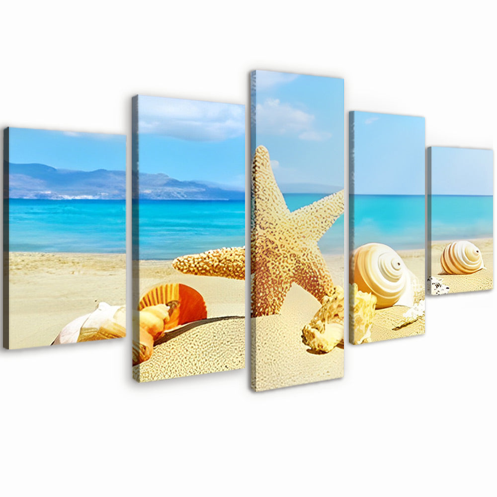 Starfish and Shells on the Beach 5 Pack Paint By Numbers