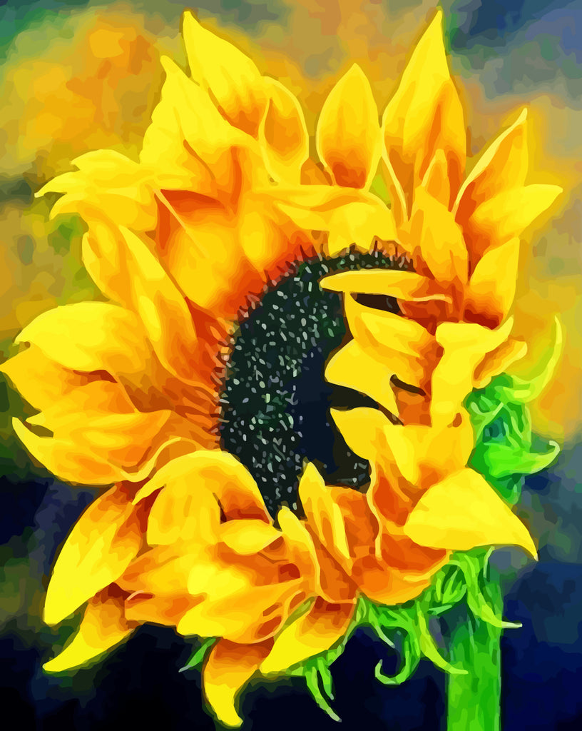 Sunflower Paint by Numbers