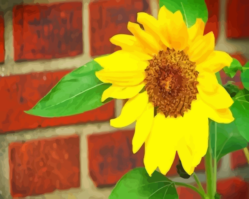 Sunflower Paint by Numbers