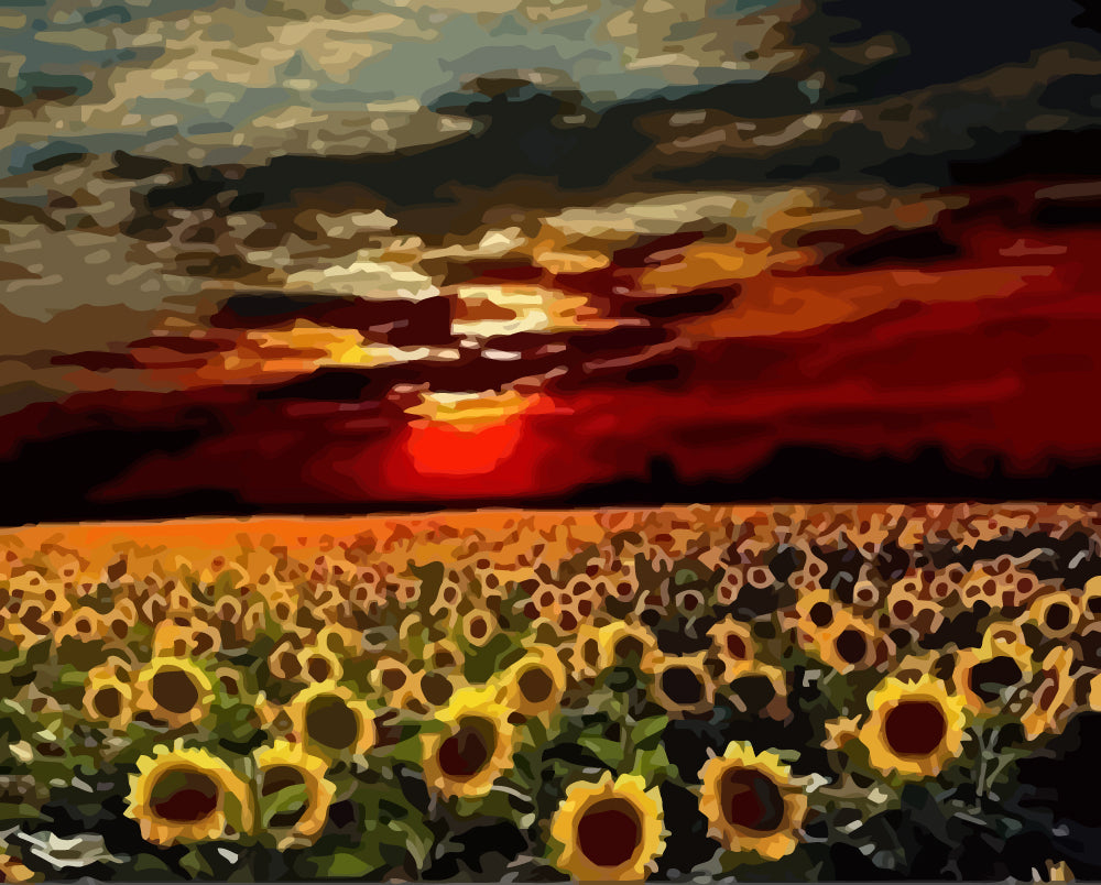 Sunflowers at Sunset Paint by Numbers