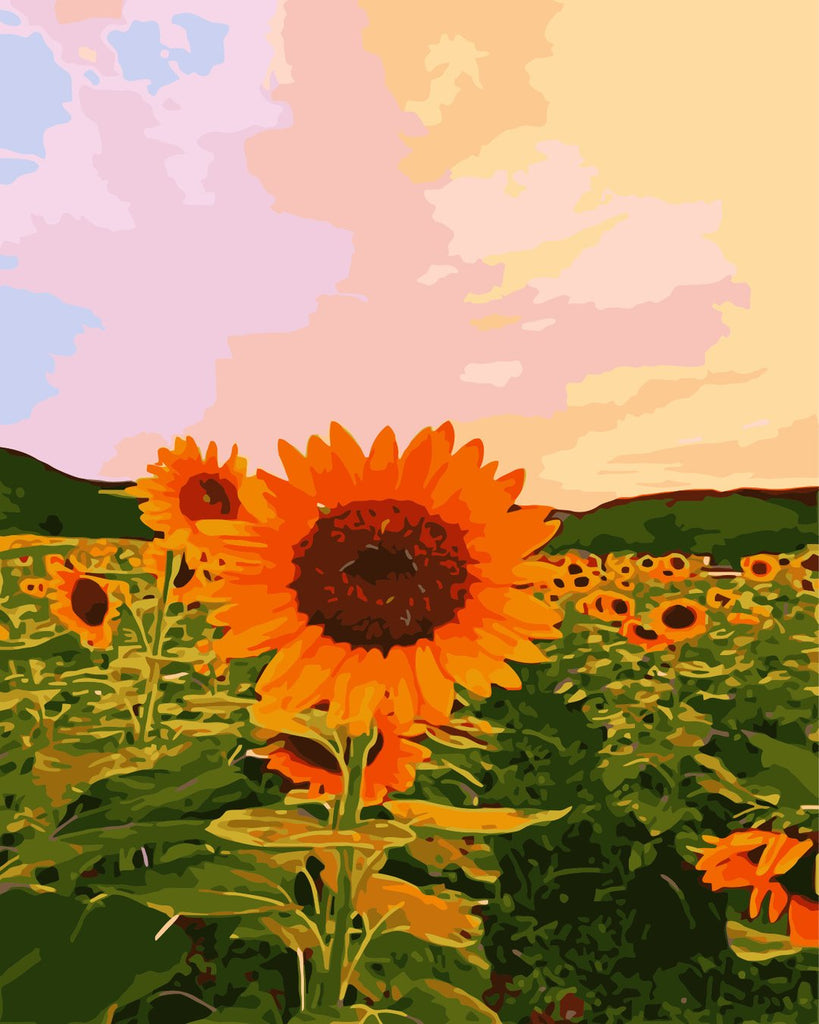 Sunflowers Field Paint by Numbers