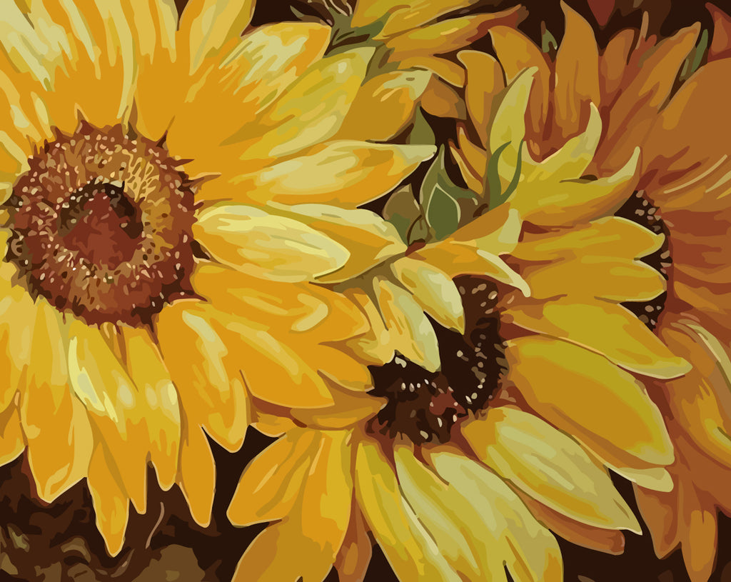 Sunflowers Paint by Numbers