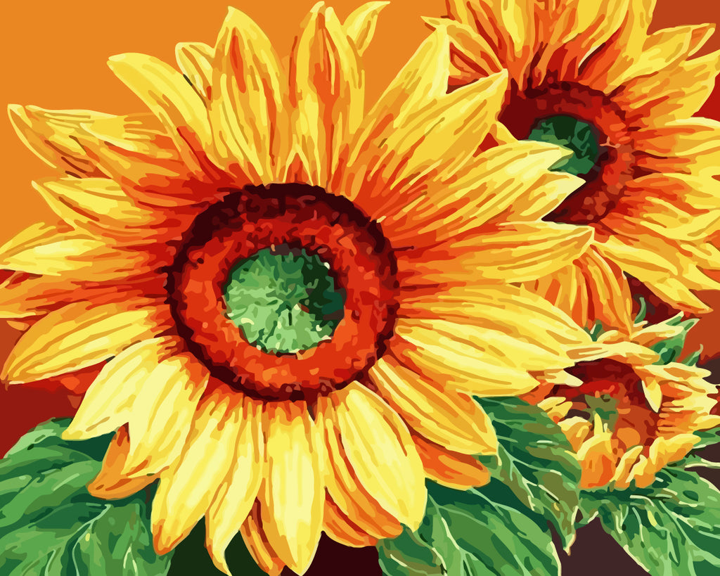 Sunflowers Paint by Numbers