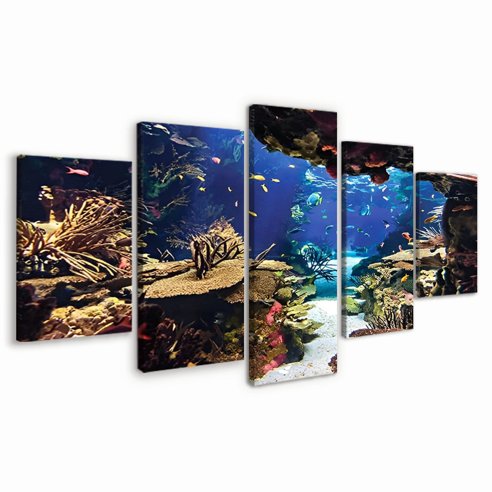 The Underwater World 5 Pack Paint By Numbers
